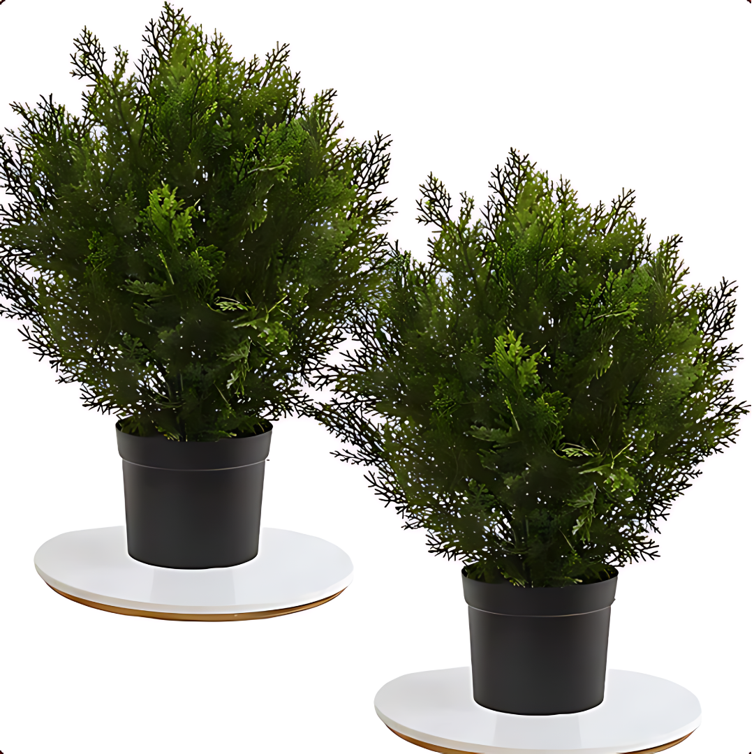 Лъжекипарис