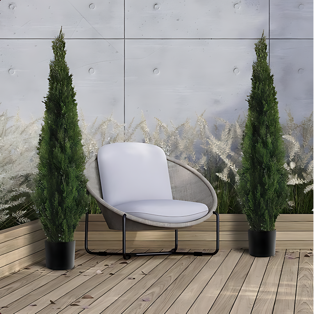 Туя ‘Смарагд’