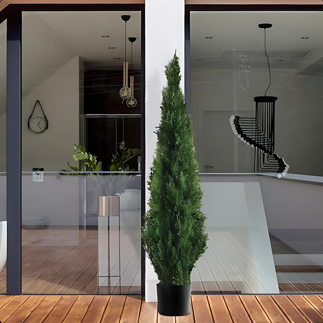 Туя ‘Смарагд’