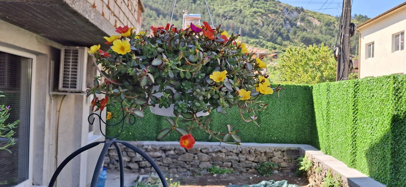 ДЕКОРАТИВНА МРЕЖА "ЖИВ ПЛЕТ" - ЗЕЛЕНА