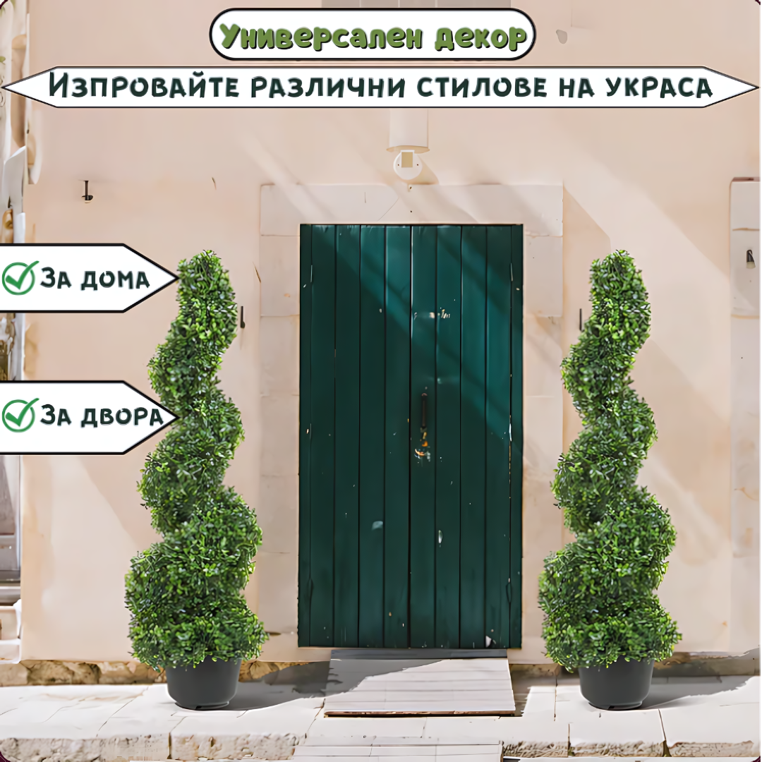 Кипарис лейланди ‘Спирала’