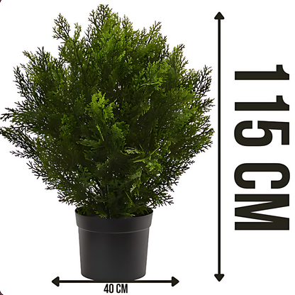 Лъжекипарис