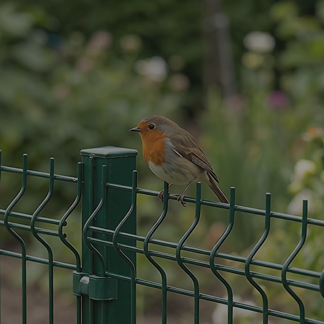 Зареди видео: 