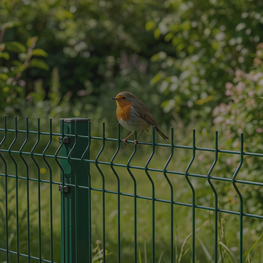 Зареди видео: 