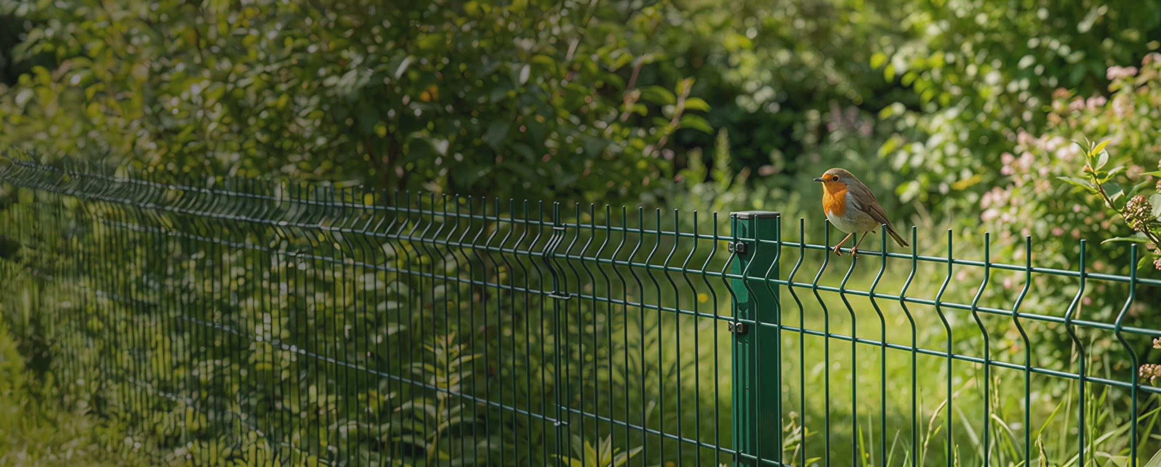 Зареди видео: 